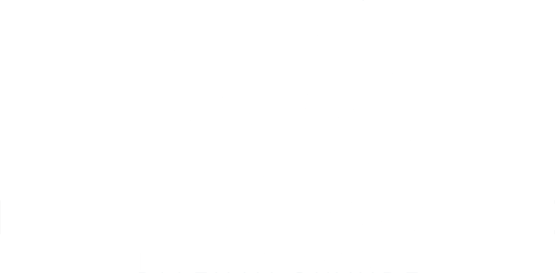 Intelligenza_manageriale_logo_nuovo_light